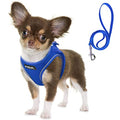 Fida Comfy Dog Harness with Leash, Soft Puppy Vest Escape Proof, Breathable Lightweight Soft Mesh, Adjustable Reflective Step-in Harness for Cat & Extra-Small Pet (XS, Blue) - color: Blue, size: XS (Neck:12.2"-13"; Girth:14.2"-16.1")