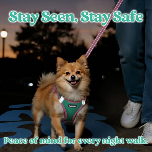 rabbitgoo Dog Harness Small Sized and Leash Set, Step in Soft Vest | Breathable Mesh, Easy Wear with Hook & Loop, Light and Reflective for Walking, Multi-colored, Teal & Pink, XXS - color: Teal & Pink, size: XXS (Chest: 12.4"-14.2")