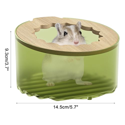 Hamster Sand Bath Box, Transparent & Detachable Small Animal Sand Container, Anti-Spill Sandbox for Hamsters Gerbils Mice Lemming - color: Green transparent