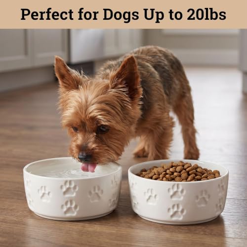 Ceramic Dog Bowl Set of 2 with Anti-Skid Base, 5.5"W x 2"H, 2 Cup Capacity | Thick Ceramic, Dishwasher Safe, Anti-Skid Rubber Base, 2 Cups per Bowl, Ceramic Food and Water Bowls Set of 2 for Small Dogs - color: White, size: Small