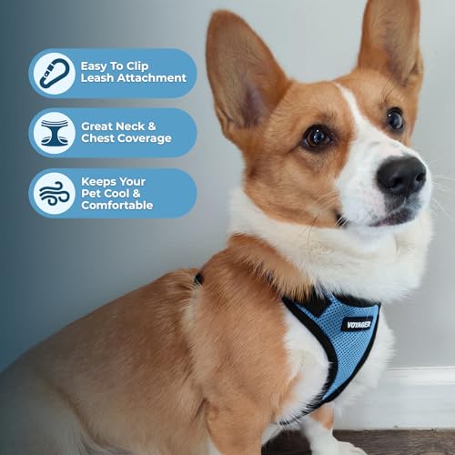 Voyager Step-in Lock Dog Harness - Baby Blue/Black Trim, X-Small | 13 - 16" in Chest, Adjustable, Breathable Air Mesh, Lightweight for Daily Walks, Strong Clips, Heavy Duty D-Ring - color: Harness (Baby Blue/Black Trim), size: XS (Chest: 13 - 16")