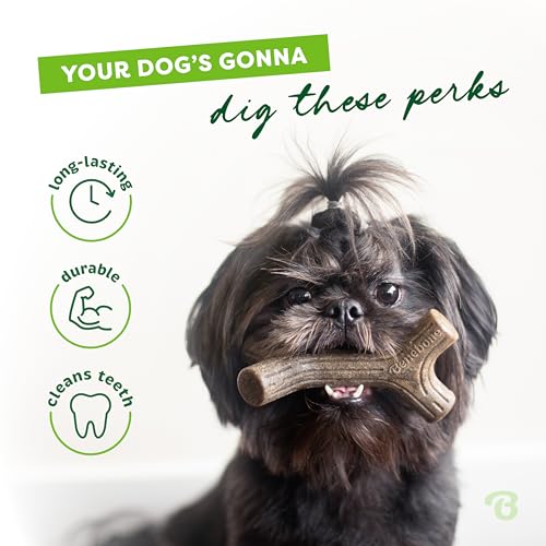 Benebone Maplestick Real Wood Durable Dog Chew Toy, Made in USA, Medium | Durable, Made in USA, Dog Bones, Long-Lasting, A Size for Every Dog, Keeps Them Busy - color: REAL Maplewood, size: Medium