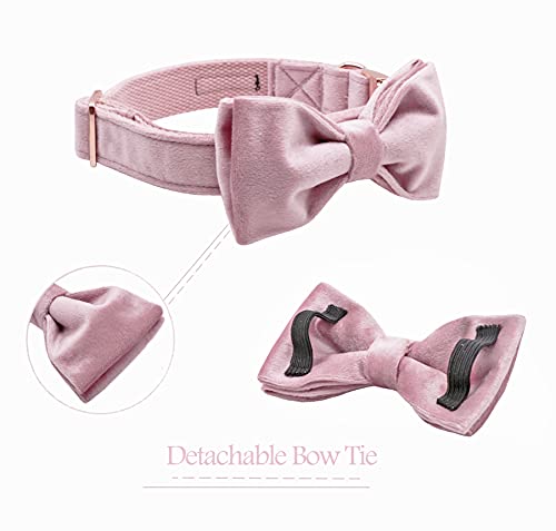 ARING PET Velvet Dog Collars with Bow tie, Bowtie Dog Collar, Cute Pink Collar for Girl and Boy Dogs,X-Small. - color: B-Pink, size: X-Small (Pack of 1)