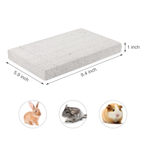 Rabbit Scratching Pad Bunny Feet Pad Lava Grinding Chew Toy for Rabbit Chinchilla Guinea Pig Ferrets (B)