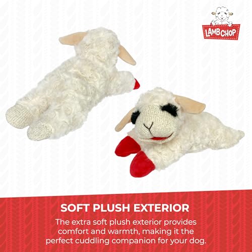 Multipet Lamb Chop Dog Plush Toy - Squeaky Toy for Small & Medium Dogs - Extra Soft Plush - Stuffed Animal for Cuddling & Playing (10", Cream, 5 Squeakers) (Pack of 2) - size: 10" (Pack of 2), style: Lambchop