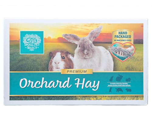 Small Pet Select Orchard Grass Hay Pet Food, 20 Lb. - size: 20 Pound (Pack of 1)