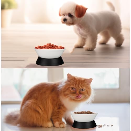 French Bulldog Food Bowl- Slanted Tilted Pug Food Water Bowl,Cat Bowl- Feeder for Frenchie/Shih Tzu/Flat Faced Small Dogs/Puppies/Cats (White（Ceramic）, 2 Cup) - color: White Bowl（Ceramic）, size: 2 Cup