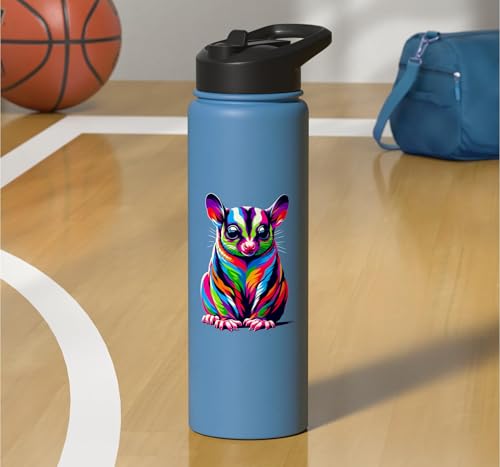 Colorful Pop Art Sugar Glider Sugar Gliders Stainless Steel Insulated Water Bottle - color: Light Blue