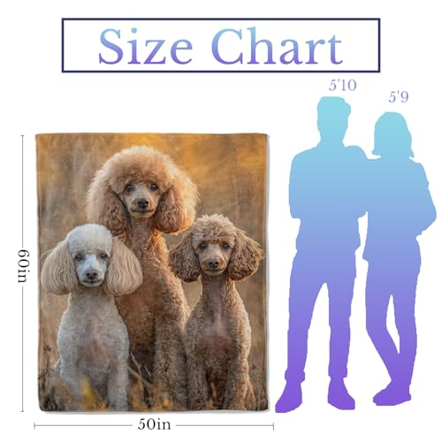 Realistic Poodle Flannel Throw Blanket 40x50 Inch, Elegant Dog in Warm Sunset Light Blankets Soft Cozy Fleece Throws for Pet Lover Bed Sofa Dorm Living Room Puppy Home Decor Gifts - color: Poodle02, size: 40"x50"