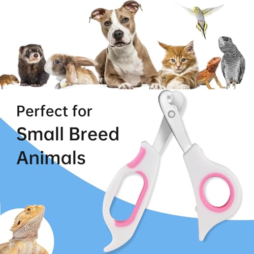 Bearded Dragon Nail Clippers with Precise Angled Edges | Stainless Steel Bearded Dragon Toe Nail Clippers (Pinky White) - color: Pinky White