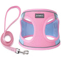 Dog Harness with Leash Set, Step-in Adjustable Puppy Vest, Pink Green XXS | Lightweight Breathable Air Mesh, Night Safety Reflective, No Pull Puppy Vest Harnesses for Small Medium Large Dogs, Cats - color: Pink Green, size: XXS(Chest:10"-12")