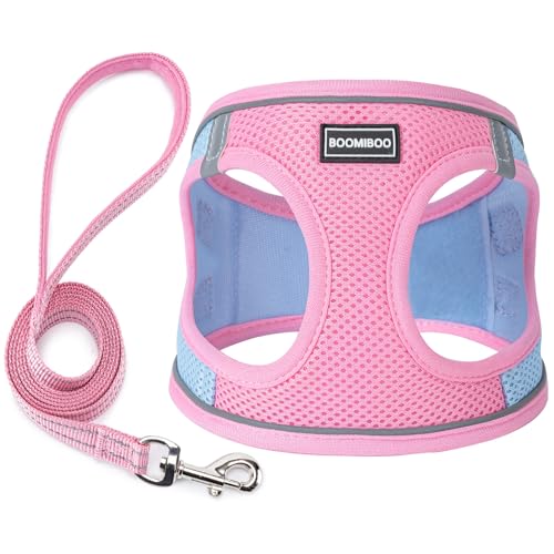Dog Harness with Leash Set, Step-in Adjustable Puppy Vest, Pink Green XXS | Lightweight Breathable Air Mesh, Night Safety Reflective, No Pull Puppy Vest Harnesses for Small Medium Large Dogs, Cats - color: Pink Green, size: XXS(Chest:10"-12")