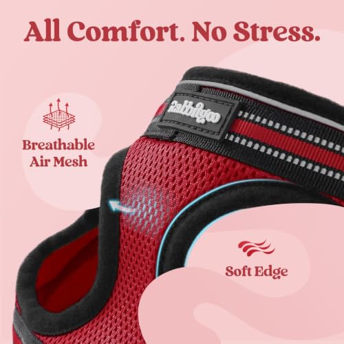 rabbitgoo Cat Harness and Leash Set, Step-in Soft Vest, Red | Escape Proof, Lightweight, Easy-on & Adjustable, Hook & Loop with Buckle, Reflective, for Kittens & Small Cats Walks, S - color: Red, size: S