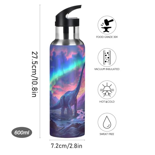 Brachiosaurus Dinosaur Northern Lights Water Bottle Kids Insulated Sports Vacuum Stainless Steel Mug with Straw Lid & Handle 20 oz - color: C1089