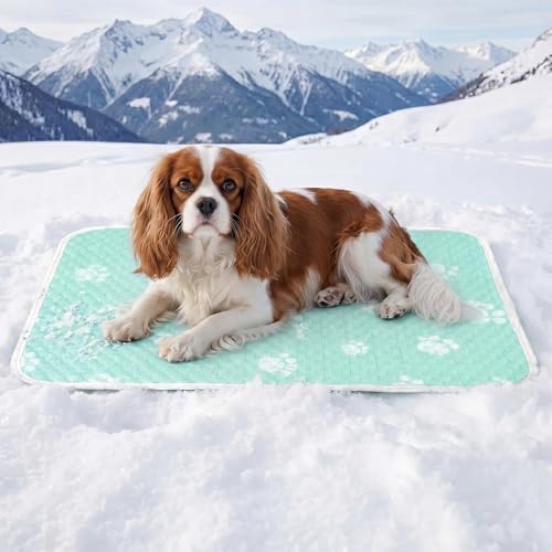 Cooling Mat for Medium Dog, Waterpoof Q-Max>0.5 Breathable Cold Crate Pad for Puppy Cat, Washable Kennel Bed for Active Pet with Chill Soothing Fabric to Rapid Cooling, 27.5×19.6, Green - color: Mint Green, size: 27.5"×19.6"