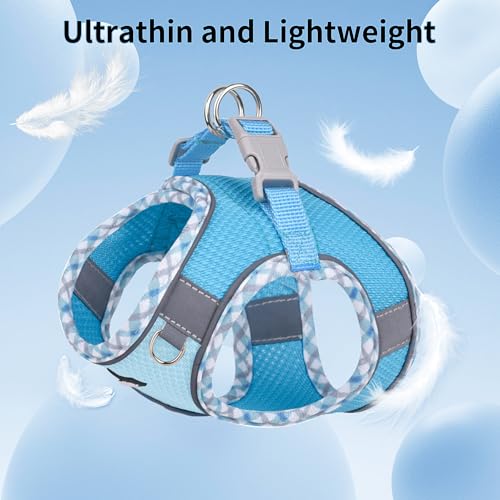 Small Dog Harness - Breathable Double-Layer Jacquard No-Choke Vest, Durable Anti-Tear Fabric with Reflective Trim - Perfect for Running, Parties, Daily Walks (Blue, XS) - color: Blue, size: XS(Chest: 11.5 - 13.5")
