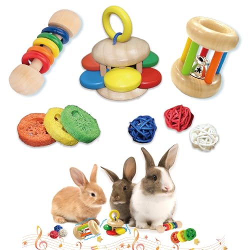 QWR 9PCS Wooden Bunny Toys,Safe Rabbit & Guinea Pigs Teeth Grinding Toy for Chinchillas, Hamsters & Small Animals - Indoor & Outdoor - size: 9PCS
