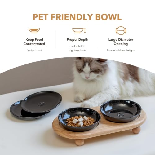 Havniva Elevated Cat Bowls, Cat Food and Water Bowl Set, Ceramic Cat Bowl | Raised Cat Food Bowls, Whisker Friendly, 5.6” Shallow Cat Dishes + 6” Wide Cat Plates, Non-Slip Wood Stand, Two Heights - color: Black, size: 2 Bowls+2 Dishes