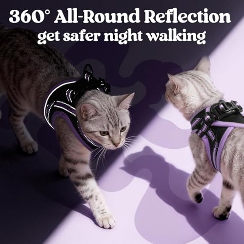 rabbitgoo Cat Harness and Leash Set, Step-in Soft Vest, Black-Light Purple | Escape Proof, Lightweight, Easy-on & Adjustable, Hook & Loop with Buckle, Reflective, for Kittens & Small Cats Walks, M - color: Black-Light Purple, size: M