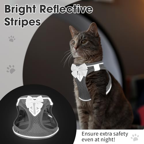 Cat Vest Harness and Leash Set, Escape Proof Kitten Harness Grey XS | Safe Reflective Strips, Adjustable Easy Wear Kitty Harness, Sturdy Clip Buckle, Breathable Mesh , for Kitty Puppy Bunny Walks - color: Grey, size: XS