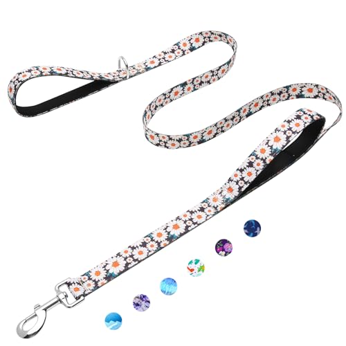 4ft Dog Leash with Two Padded Handles, Heavy Duty Strong Nylon Pet Leash with Soft Neoprene Handle for Small Medium Large Dogs, Daisy - color: Daisy, size: 1 in x 4 ft