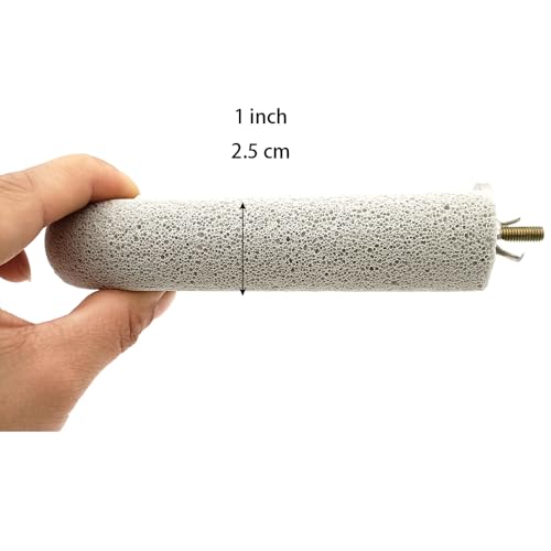 Shelltech Pumice Ledge Lava Ledge for Birds Chinchillas, Climbing Ledge Teeth Grinding Beak Grinding Block Perch Stand for Hamsters Chinchillas Parrots (L-2 Pack) - size: L-2 Pack