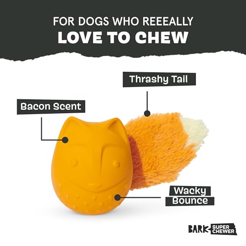 BarkBox Franz The Fox Dog Toy | Natural Rubber, Bacon Scented, Thrashy Tail & Wacky Bounce | Dog Toy for Aggressive Chewers - color: Franz the Fox-Medium