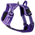 Pet Passion MAX - THE Hardy Reflective Harness, Purple, Small - color: PURPLE, size: Small (10-25 lbs)