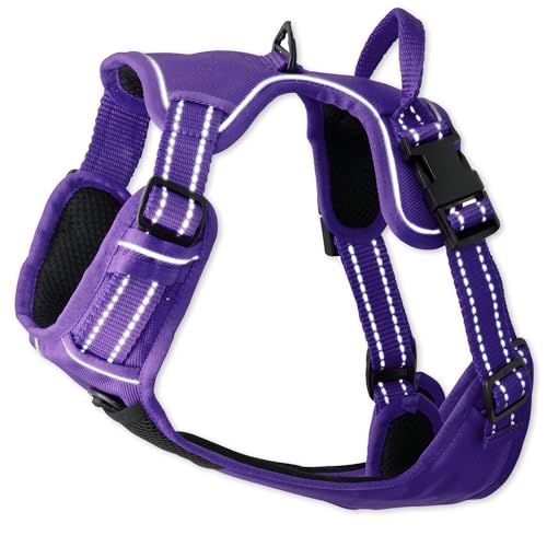 Pet Passion MAX - THE Hardy Reflective Harness, Purple, Medium - color: PURPLE, size: Medium (20-45 lbs)