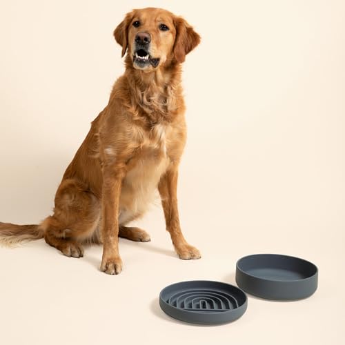 Slow Feeder Dog Bowls - Large Size Silicone Slow Eating Dog Bowl for Puppies & Dogs with Suction Cup -Dishwasher-Safe, Lick Mat Design, Reduces Gulping,for All Breeds,9.5”x1.5”-Charcoal - color: Charcoal - Rainbow Design, size: Large (9.5” Across and 1.5”