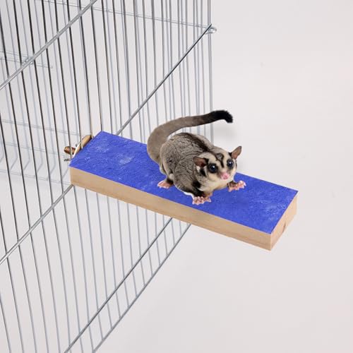 4 Pcs Wood Sugar Glider Toys, Sugar Glider Cage Accessories, Small Animal Climbing Cage Steps, Colorful Sharpening Claws Climbing Stand for Sugar Glider Hamster Chinchillas Rats