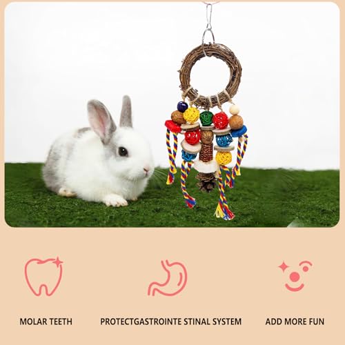 Bunny Chew Treats Toy for Teeth, 2PCS Rabbit Cage Hanging Chew Toys and Rattan Ring with Snack,Natural Material Chinchilla Treats Toys for Guinea Pig Gerbils Hamster Rat Teeth Grinding - color: 2PCS Classic