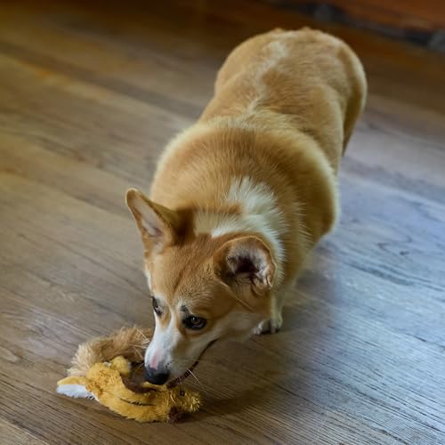 SPOT Skinneeez Flying Squirrel 14 Inch Stuffing-Free Plush Squeaky Dog Toy – Soft Tug-of-War Toy for Small and Medium Dogs – Mess-Free Interactive Chew Toy for Moderate Chewers - style: Mini Flying Squirrel