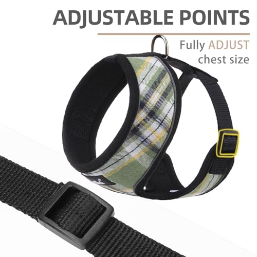 PUPTECK Soft Mesh Dog Harness and Leash Set Pet Puppy Cat Comfort Padded Vest No Pull Harnesses, Green/Yellow, S - color: Green&Yellow, size: S (NECK: 12", CHEST: 14"-18")