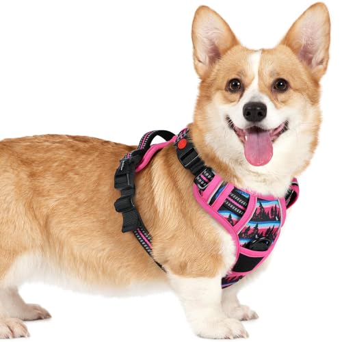 rabbitgoo Dog Harness Small Sized, Updated Easy On & Off with 3 Buckles | No Pull No Choke, Walking with 2 Clips and Handle, Adjustable Soft Reflective, Mountain Rose, Small - color: Mountain Rose, size: Small