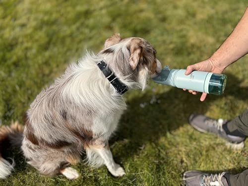 Stainless Steel Dog Travel Water Bottle, Vacuum Insulated Portable Dog Water Dispenser, Large Bottle with Drink Cup On The Go, Outdoor Walking, Hiking, Travel (Mint, 22oz) - color: Mint