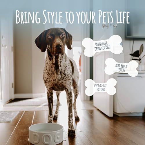 Ceramic Pet Bowl for Dogs and Cats, Food and Water Dish, 8 Cup Capacity, Large, Grey, Dishwasher and Microwave Safe - color: Grey, size: Large