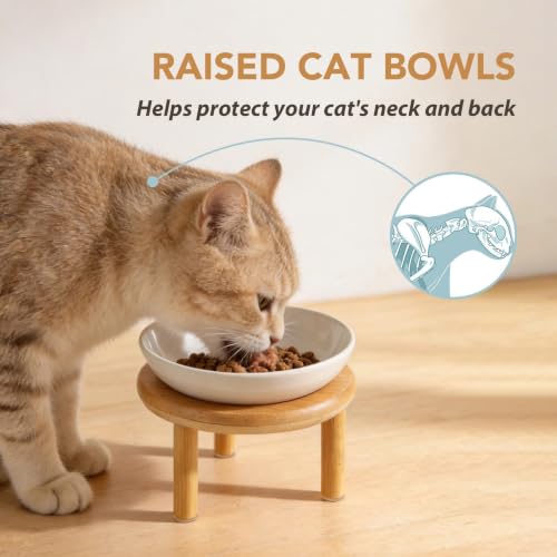Havniva Elevated Cat Bowls, Ceramic Cat Bowl with Bamboo Stand Wide Opening | 5.7” Raised Cat Food Bowls, Whisker Friendly Cat Dish, Anti-Slip Cat Water Bowls, Shallow Cat Bowls, Cat Food & Water Bowl - color: White