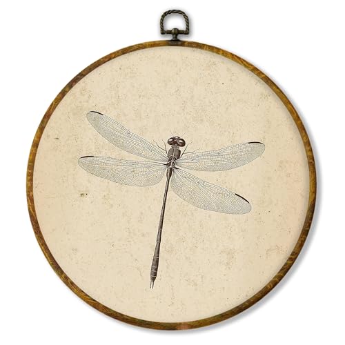 shiviody Vintage Dragonfly Canvas Wall Art Decor, Netural Dragonfly Wall Art, Retro Aesthetic Insect Round Hanging Frame Prints Decorations for Bedroom Living Room Bathroom Office 10"x10" - color: Animals-28