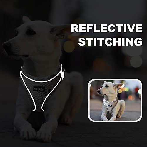 haapaw Dog Harness with Leash Set, No Pull Adjustable Reflective Step-in Puppy Harness with Thickened Padded Vest for Extra-Small/Small Medium Dogs - color: Beige, size: XS