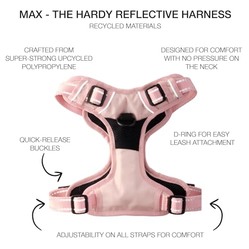 Pet Passion MAX - THE Hardy Reflective Harness, Pink, X-Small - color: PINK, size: X-Small (5-12 lbs)