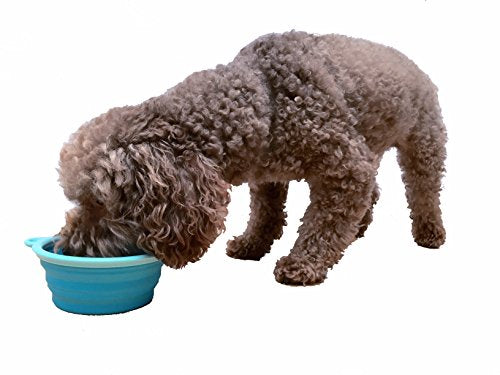 Prima Pet Expandable/ Collapsible Silicone Food & Water Travel Bowl with Clip for Small & Medium Dog and Cat, Size: 1.5 Cups (5.1 Inch Diameter Bowl) (AQUA) - color: AQUA, size: SMALL (1.5 CUPS)