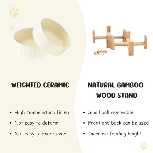 SPUNKYJUNKY 15° Slanted Ceramic Dog and Cat Bowl with Wooden Stand, Tilted Bulldog Food and Water Bowl No Slip Non-Spill for Cats Medium Dogs Big Face Pets 13.5 OZ (1.7 Cups, Beige × 2) - color: Beige, size: 1.7 CUPS × 2