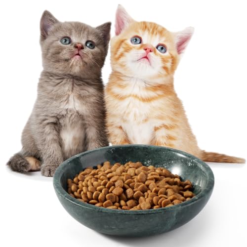 Natural Marble Cat Bowl, Weighted 1.5lb Cat Food Bowl for Cat and Small Dog, Small Animal Pet Food Dish Non-Slip, Shallow Dish for Whisker Fatigue Relief, Premium Green Stone for Home Decor - color: Green