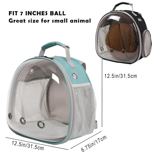Guinea Pig Carrier Backpack with Soft Warm Mat Set,Lizard Backpack Carrier,Space Capsule Clear Bubble Window Astronaut Reptile Carrier Backpack for Bearded Dragon,Sugar Glider,Bunny - color: Green
