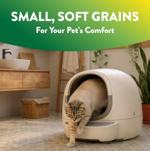 ARM & Hammer Plant Power Plant-Based Clumping Cat Litter, Unscented 15 Lbs | Lightweight, Multi-Cat Homes, Highly Absorbent Natural Grain Formula, 14-Day Odor Control