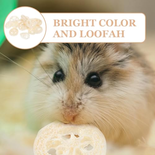 Veemoon 20pcs Hamster Bunny Pet Chewing Toy, Natural Loofah Small Animal Chew Tool Pet Molar Toy for Guinea Pig Chinchilla Hamster Rat Tooth Cleaning and Oral Care Stress Relief Entertainment