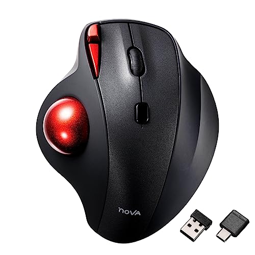 SANWA 2.4G Wireless Trackball Mouse, Optical Ergonomic Rollerball Mice, Programmable Silent Buttons, USB-A & Type-C Receiver, Thumb Control, 4 DPI, Rechargeable Compatible for PC, Mac, Windows, Laptop - color: 2.4G Wireless