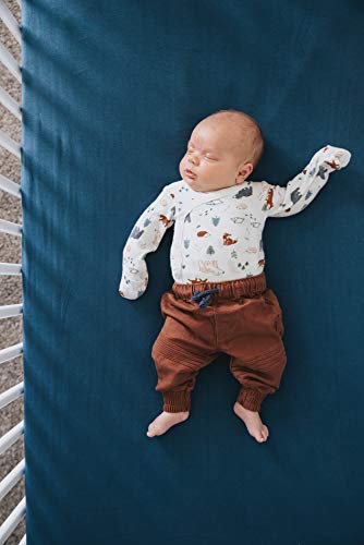 Copper Pearl Premium Knit Baby Crib Sheets for Standard Mattresses, Breathable and Soft, River - color: River