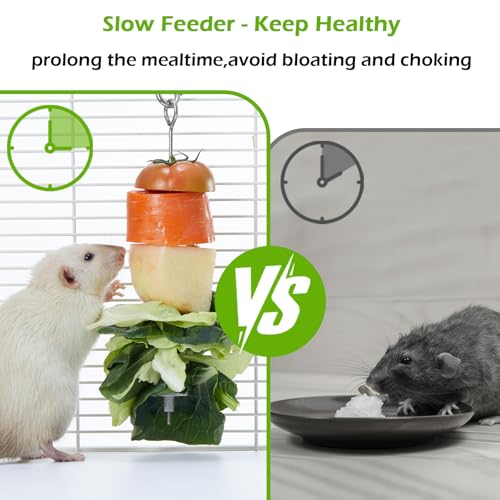 2Pcs Rat Enrichment Toys Set - Fruit/Veg Holder & Treat Dispenser | Interactive Foraging Puzzle Toys for Rats/Mice/Birds, Cage Accessories with Hanging Feeder & Intelligence Game